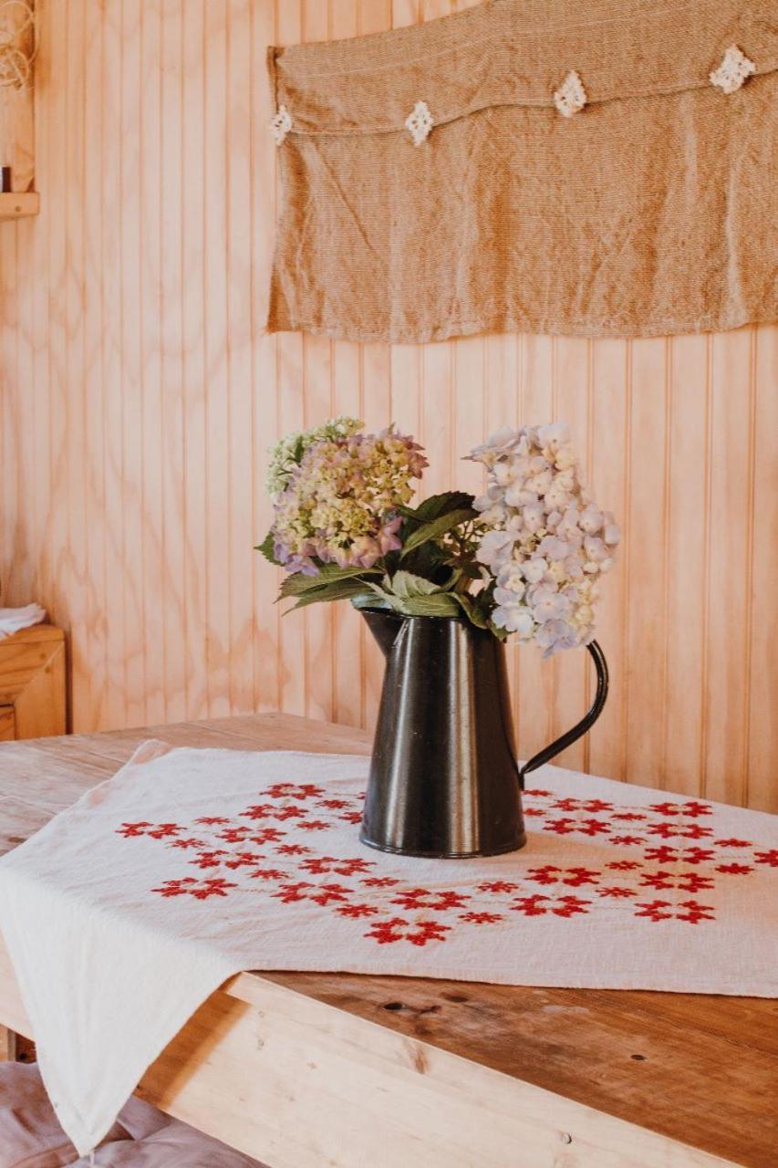Cabanas Trapen Πουέρτο Μοντ Εξωτερικό φωτογραφία
